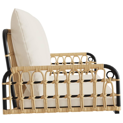 vidaXL Swing Bench with Cushions 105x58x38 cm Poly Rattan and Steel