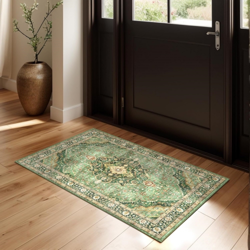 Boho Green Area Rug Entryway Rugs for Bedroom Bathroom Kitchen - 2' x 3' Small Soft Rugs Low Pile Keep Off Rug Carpet Washable Rug Oriental Indoor