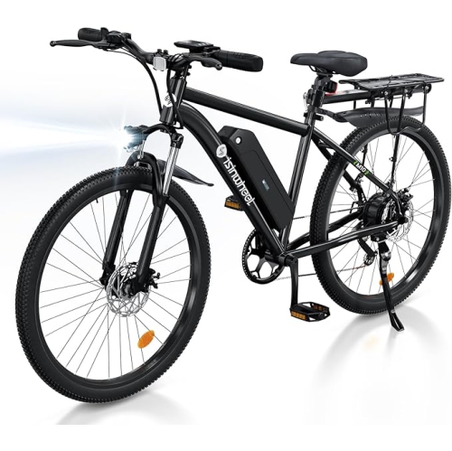 isinwheel M10 Portable Adults Electric Bike - Black