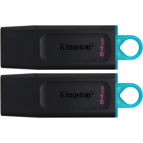 Kingston DTX DataTraveler Exodia 64GB USB 3.2 Flash Drive (DTX/64GB-2P)
