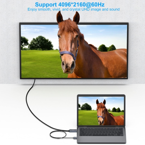 BENFEI HDMI to DisplayPort Cable, 6 Feet HDMI Source to DisplayPort Monitor