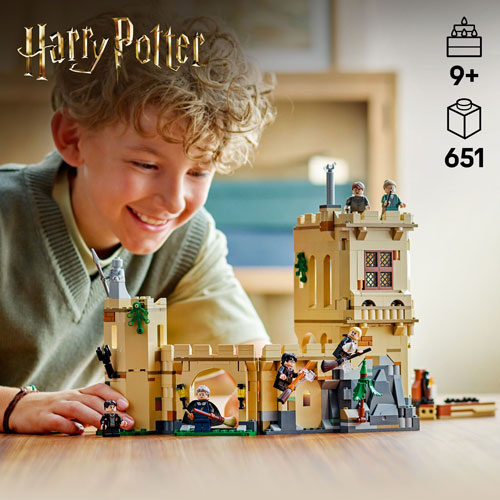 LEGO Harry Potter: Le château de Poudlard : les leçons de vol - 651 pièces