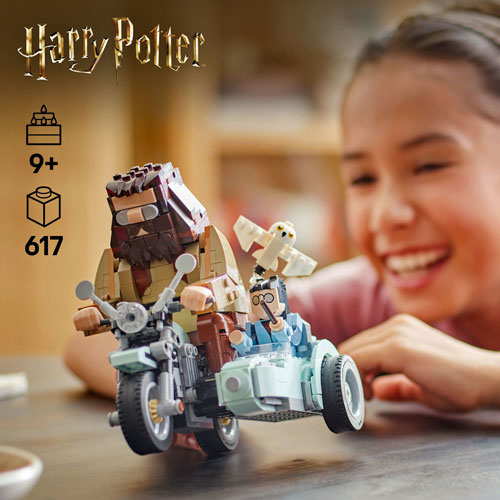 LEGO Harry Potter: La balade en moto de Hagrid et Harry - 617 pièces