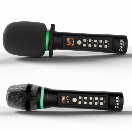 Système de karaoké ELITE PREMIUM STAGE II DE PEAK - 2000&nbsp;W