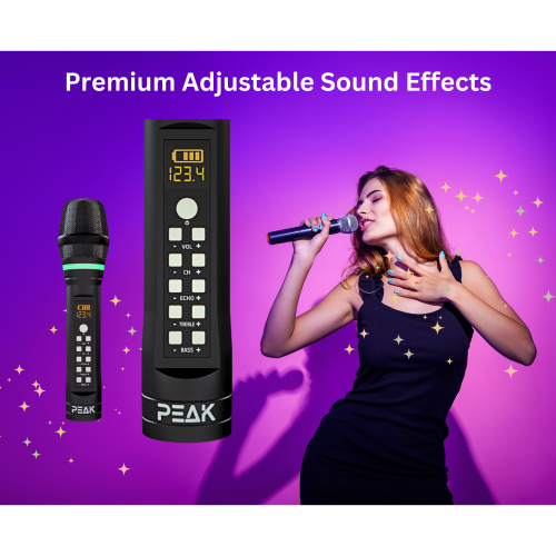 Système de karaoké ELITE PREMIUM STAGE II DE PEAK - 2000&nbsp;W