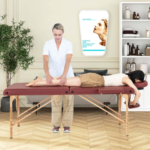 Costway 84" Portable & Foldable Massage Salon Spa Facial Care Tattoo Bed with Carrying Bag