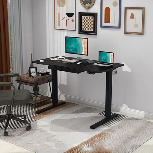 Ljubljana 47" Electric Height Adjustable Standing Desk Standing Desk - Black