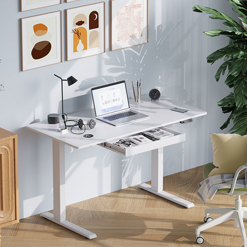 Ljubljana 47" Electric Height Adjustable Standing Desk Standing Desk - White