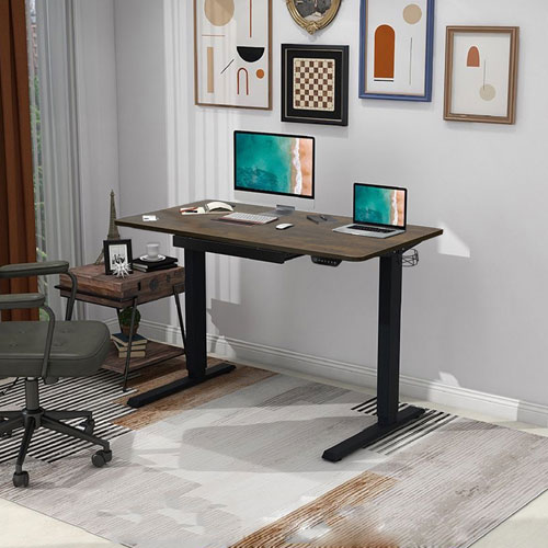 Ljubljana 47" Electric Height Adjustable Standing Desk Standing Desk - Vintage