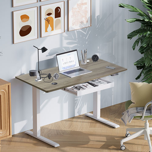 Ljubljana 47" Electric Height Adjustable Standing Desk Standing Desk - Maple