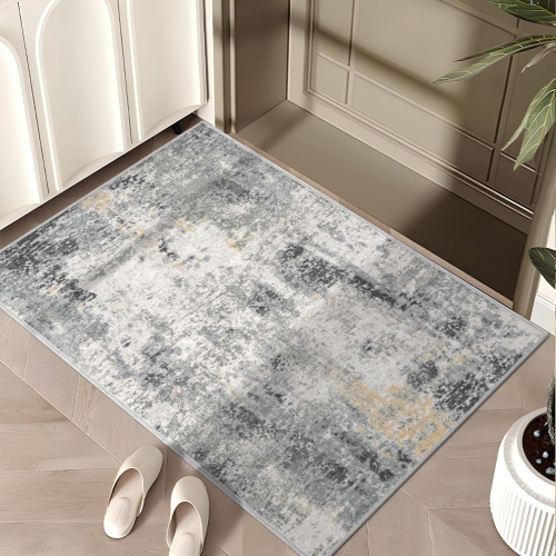 Modern Abstract Area Rug 2' x 3' Area Rug Deerly Entryway Rugs Soft Washable Rug Non-Slip Contemporary Bathroom Doormat Indoor Carpet for Living Room