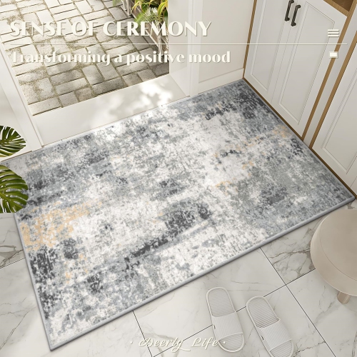 Modern Abstract Area Rug 2' x 3' Area Rug Deerly Entryway Rugs Soft Washable Rug Non-Slip Contemporary Bathroom Doormat Indoor Carpet for Living Room