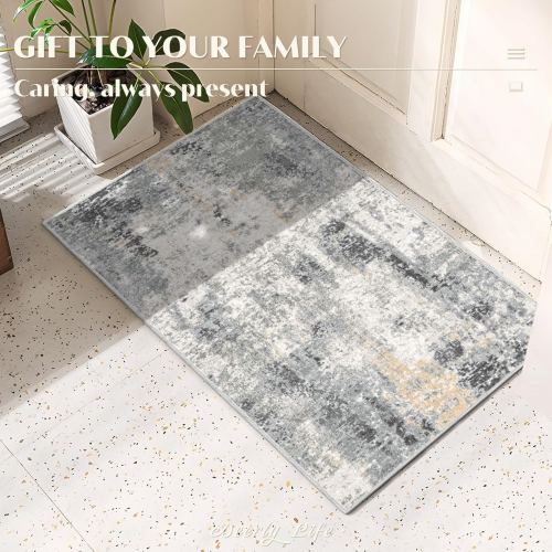 Modern Abstract Area Rug 2' x 3' Area Rug Deerly Entryway Rugs Soft Washable Rug Non-Slip Contemporary Bathroom Doormat Indoor Carpet for Living Room