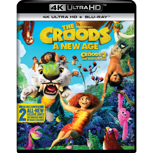 DREAMWORKS  The Croods: A New Age [DVD]