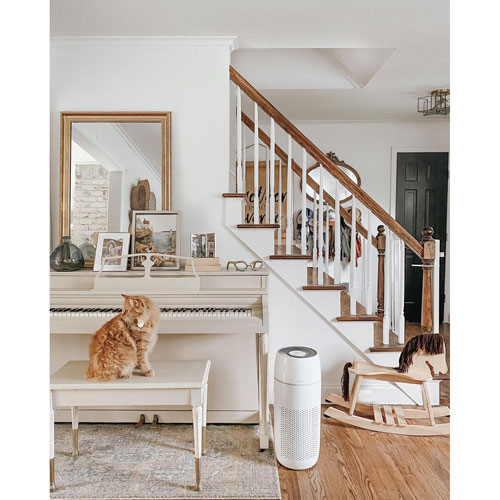 Purificateur d'air 5-en-1 TotalClean PetPlus de HoMedics avec technologie UV-C et filtre HEPA