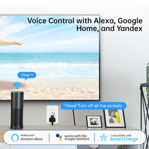 WENHOMe Smart In-Wall Outlet with 2 Controlled Plugs and USB Charging, Neutral Wire and 2.4GHz Wi-Fi Connection Required, Works with Alexa, Echo and