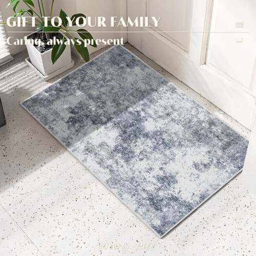 Modern Abstract Area Rug 2' x 3' Small Area Rug Entryway Rugs Soft Washable Rug Non-Slip Contemporary Bathroom Doormat Indoor Carpet for Living Room
