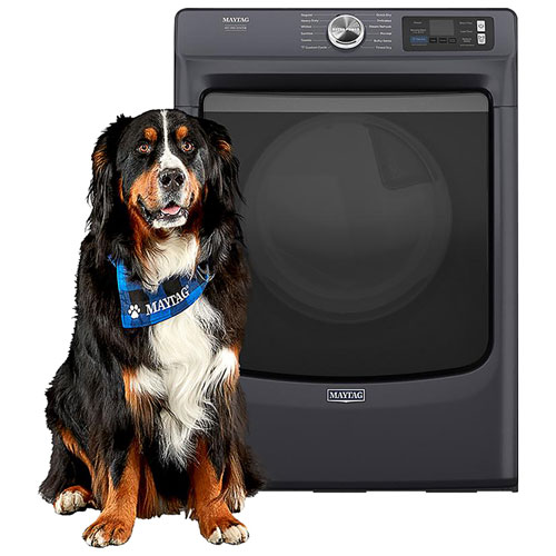 Sécheuse à gaz à vapeur de 7,4 pi³ Pet Pro de Maytag - Acier minuit