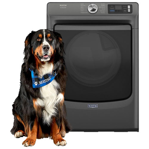 Maytag Pet Pro 7.4 Cu. Ft. Gas Steam Dryer - Volcano Black