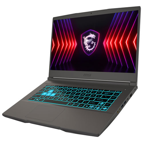 Portable de jeu Thin de 15,6 po de MSI - Gris cosmos