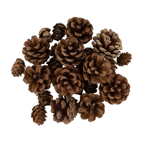 Ornaments, Pinecones and Stars Christmas Decorations - 6"