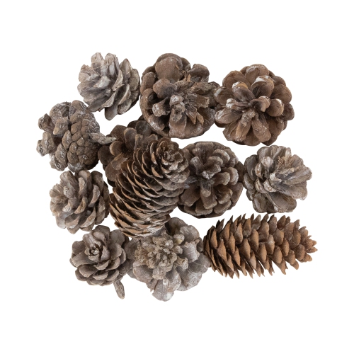 Pinecones and Snowflakes Christmas Decorations - 6"