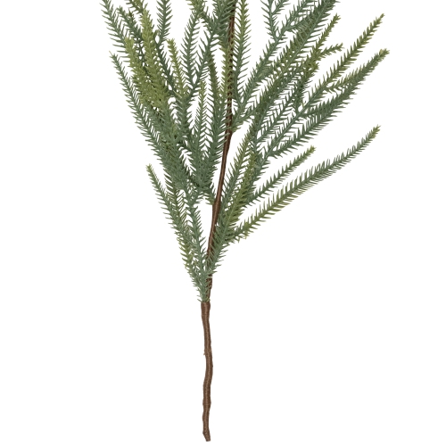Norfolk Pine Artificial Christmas Garland - 7' - Unlit