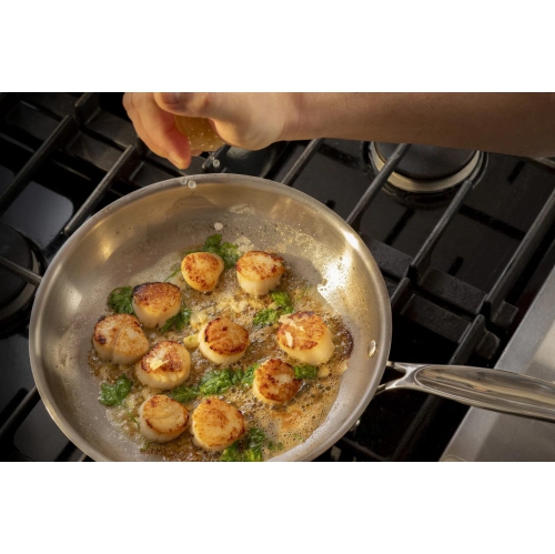 Meyer Confederation Stainless Steel 20cm/8" Frying Pan, Skillet, Made in Canada