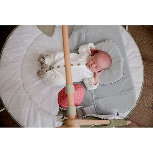 bbluv Ergo Complete Cushions Set