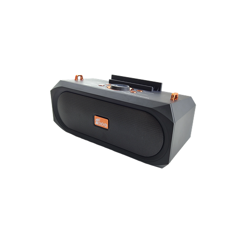 Bluetooth FM Radio with Phone Mount, USB/TF Music Player, and 1200mAh Battery for Portable Entertainment