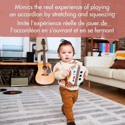 Tiny Love Tiny Rockers Accordian Toy