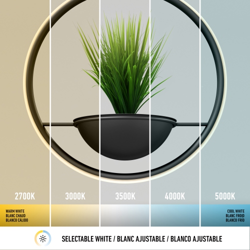 Artika Colin Modern Pendant light and Planter, Matte black