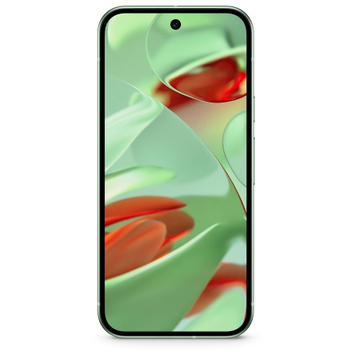 Google Pixel 9 256GB - Wintergreen - Unlocked by GOOGLE - Refurbished condition - Image 4