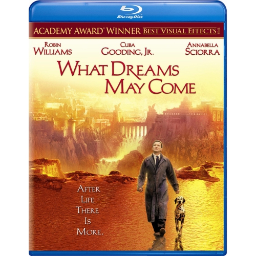 What Dreams May Come [DVD]
