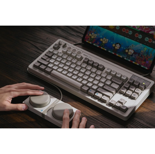 Open Box - 8BitDo Retro Mechanical Keyboard, Bluetooth/2.4G/USB-C Hot Swappable Gaming Keyboard with 87 Keys - M Edition