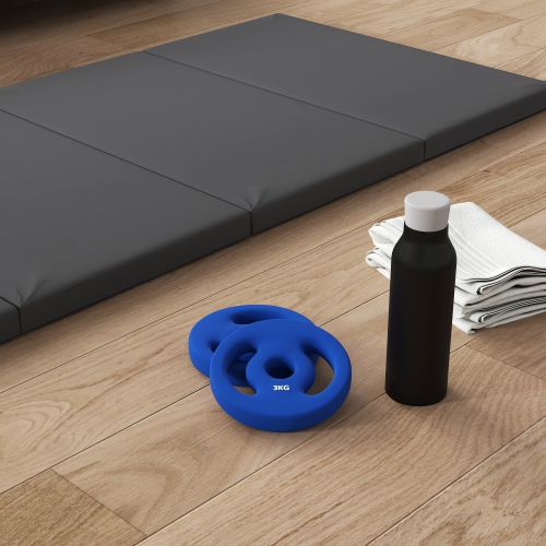 2 disques 6,6&nbsp;lb de Soozier avec poignées faciles à saisir, ensemble de poids standard avec trous de 1 po, pour la maison, le gym, le levage de