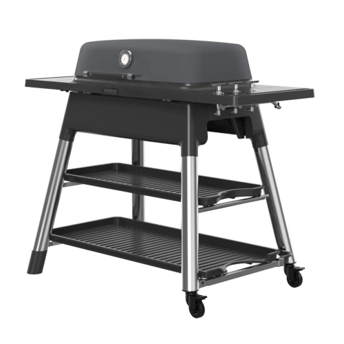 Barbecue au gaz à 3 brûleurs Everdure Furnace, graphite