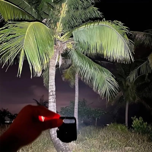 YOULIGHTS Rechargeable COB Keychain Flashlight 10 Pack - Multi-Function Portable Mini LED Flashlight Work Light with 4 Modes for Camping, Hiking and