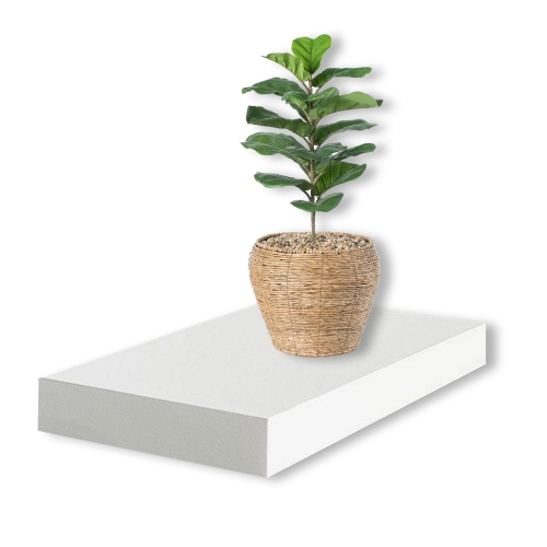 Jessar - Set of 3 Floating Wall Shelves, 15.75" x 9.25" x 1.5", White