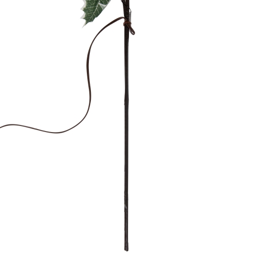Lighted Holly Berry Christmas Pine Spray - 29" - Warm White