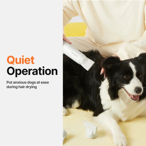 Neakasa Dog Grooming Dryer Portable, Fast Drying, F1 Pet Hair Dryer High Speed, Quiet, 560g Lightweight for Travel, 3 Nozzle, 8 Modes