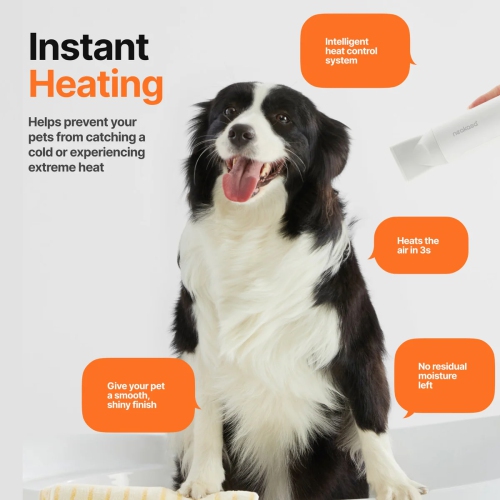 Neakasa Dog Grooming Dryer Portable, Fast Drying, F1 Pet Hair Dryer High Speed, Quiet, 560g Lightweight for Travel, 3 Nozzle, 8 Modes