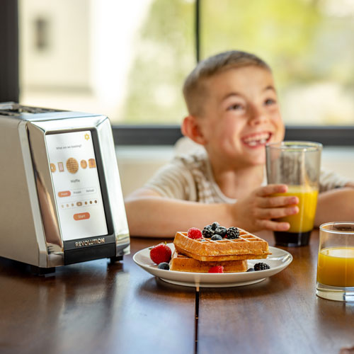 Revolution Revolution R180 Connect Toaster - 2-Slice - Silver
