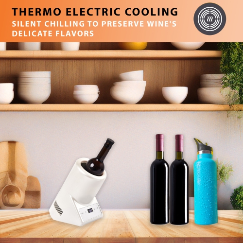 Refroidisseur à une bouteille Equator Vin-Champagne-Eau 110&nbsp;V AC/12&nbsp;V DC