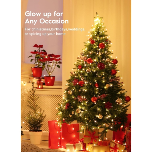 33 ft 100 LEDs USB Fairy Lights Plug in, Waterproof String Lights with Remote and Timer, 8 Modes String Lights for Indoor Party Wedding Christmas