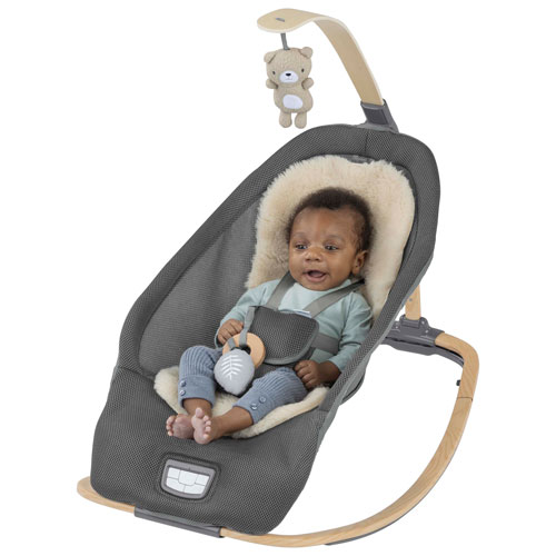 Ingenuity Every Season Rocking Seat - Wesley
