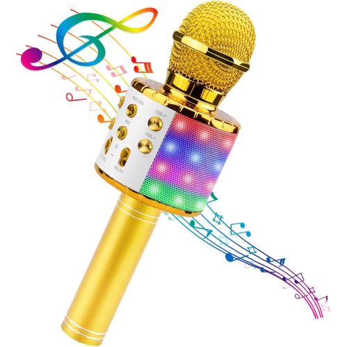 Microphone de karaoké portatif 4-en-1, système de karaoké portatif avec haut-parleur, système de karaoké Home KTV Player avec fonction