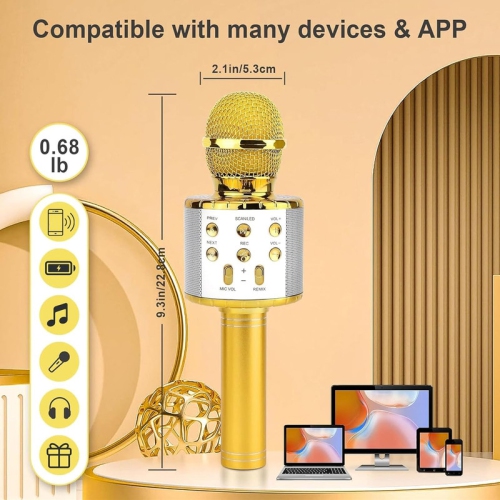 Microphone de karaoké portatif 4-en-1, système de karaoké portatif avec haut-parleur, système de karaoké Home KTV Player avec fonction