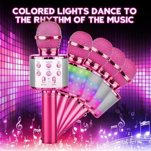 4 in 1 Handheld Karaoke Microphone, Portable Karaoke System with Speaker, Karaoke Machine Home KTV Player with Record Function for Android & iOS