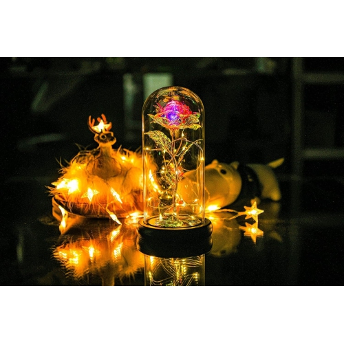 Galaxy Rose Flower Infinity Rose in Glass Dome with Led Light String on The Crystal Rose Unique for Mom Women, Christmas, Mother's Day, Anniversary